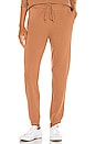 view 1 of 5 Porter Cuffed Joggers in Camel