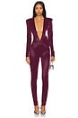 view 1 of 3 Jumpsuit With Plunging Neckline in Oxblood