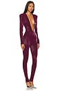 view 2 of 3 Jumpsuit With Plunging Neckline in Oxblood