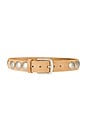 view 1 of 3 x REVOLVE Disc Studded Belt in Brown