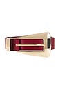 view 3 of 3 Brooklyn Belt in Burgundy & Gold