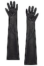 view 2 of 2 Gisele Gloves in Black