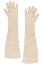 view 2 of 2 Marilyn Gloves in Bone