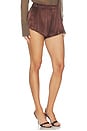 view 2 of 6 Melina Short in Brown