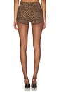 view 5 of 6 Annaise Short in Dark Mocha Leo