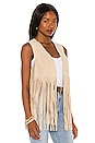 view 2 of 4 Sonia Vest in Taupe