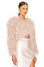 view 3 of 5 Hallie Cropped Jacket in Feather Pink