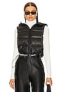 view 2 of 5 Delma Puffer Vest in Black