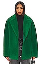 view 1 of 5 Sophie Coat in Vibrant Green