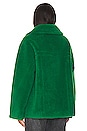 view 4 of 5 Sophie Coat in Vibrant Green
