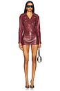 view 5 of 5 Ciara Biker Jacket in Burgundy