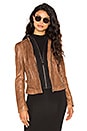 view 2 of 6 Arlette Jacket in Rawhide