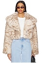 view 1 of 4 Danika Faux Fur Coat in Beige Leopard