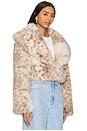 view 2 of 4 Danika Faux Fur Coat in Beige Leopard