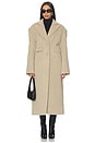 view 1 of 3 Aaliyah Coat in Beige