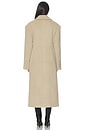 view 3 of 3 Aaliyah Coat in Beige