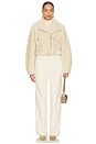 view 4 of 4 Brina Jacket in Beige
