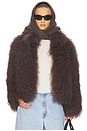 view 1 of 5 Bianca Fur Jacket in Brown