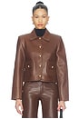 view 1 of 5 Francesca Jacket in Mid Brown & Leo