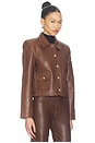 view 4 of 5 Francesca Jacket in Mid Brown & Leo