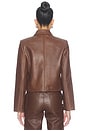 view 5 of 5 Francesca Jacket in Mid Brown & Leo