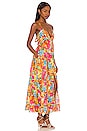 view 2 of 3 Oceane Maxi Dress in Juicy Print