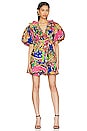 view 1 of 4 Remy Dress in Penelope Print
