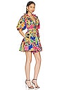 view 2 of 4 Remy Dress in Penelope Print