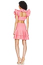 view 3 of 3 Tara Dress in Barbie