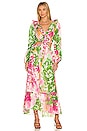view 1 of 3 Maxi Dress in Rosie Green Print