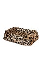 view 1 of 3 Small Pet Bed in Leopard