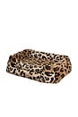 view 1 of 2 Large Pet Bed in Leopard