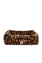 view 1 of 3 Medium Pet Bed in Leopard