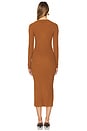 view 3 of 3 VESTIDO ZOE in Rust