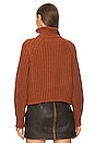 view 3 of 4 Jules Sweater in Rust