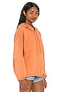 view 2 of 4 Joey Zipper Hoodie in Terracotta
