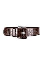 view 1 of 3 CEINTURE DAISY in Brown