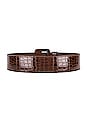 view 2 of 3 CEINTURE DAISY in Brown