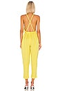 view 3 of 3 The Affi Jumpsuit in Yellow