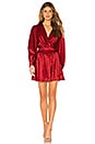 view 1 of 3 The Stella Mini Dress in Ruby Dot