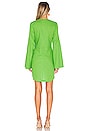 view 3 of 3 The Janeiro Mini Dress in Lime