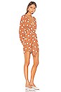 view 2 of 3 The Violette Mini Dress in Rust & Ivory Dot