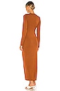 view 3 of 3 Deena Maxi Dress in Brown