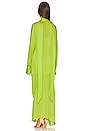 view 3 of 3 Celia Maxi Dress in Lime Green