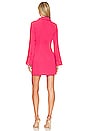 view 5 of 6 Karolina Dress in Fuchsia Pink