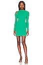 view 1 of 3 Valette Mini Dress in Parrot Green