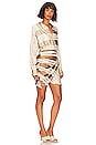 view 2 of 3 The Kamille Mini Dress in Brown & Ivory Stripe