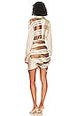 view 3 of 3 The Kamille Mini Dress in Brown & Ivory Stripe