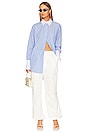 view 5 of 6 FRESH STRIPE 셔츠 드레스 in Fresh Blue Stripe