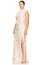 view 6 of 9 by Marianna Avalon Maxi Dress in Blush Pink